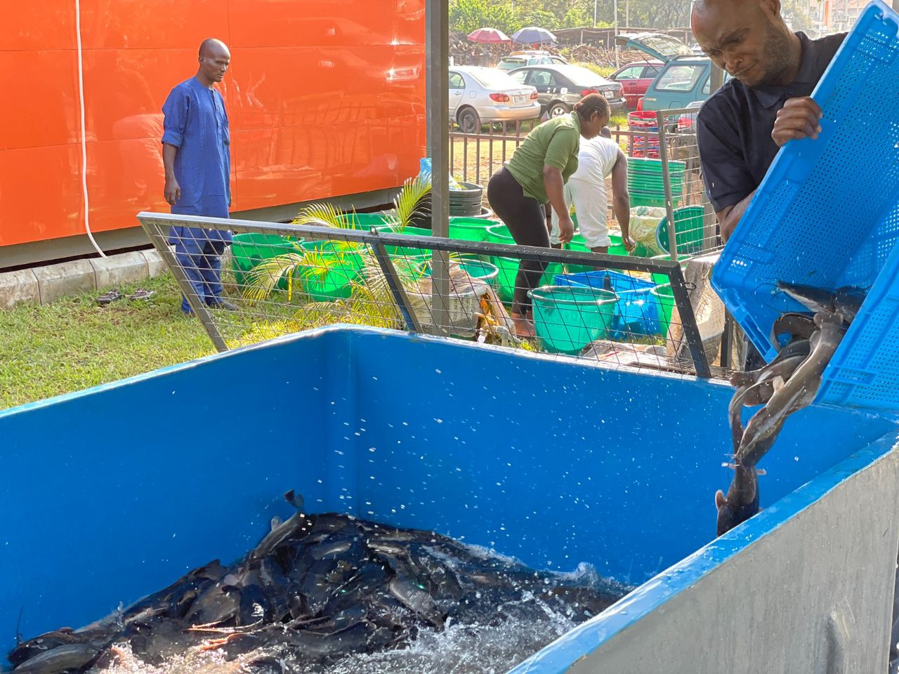 Live Fish Depot