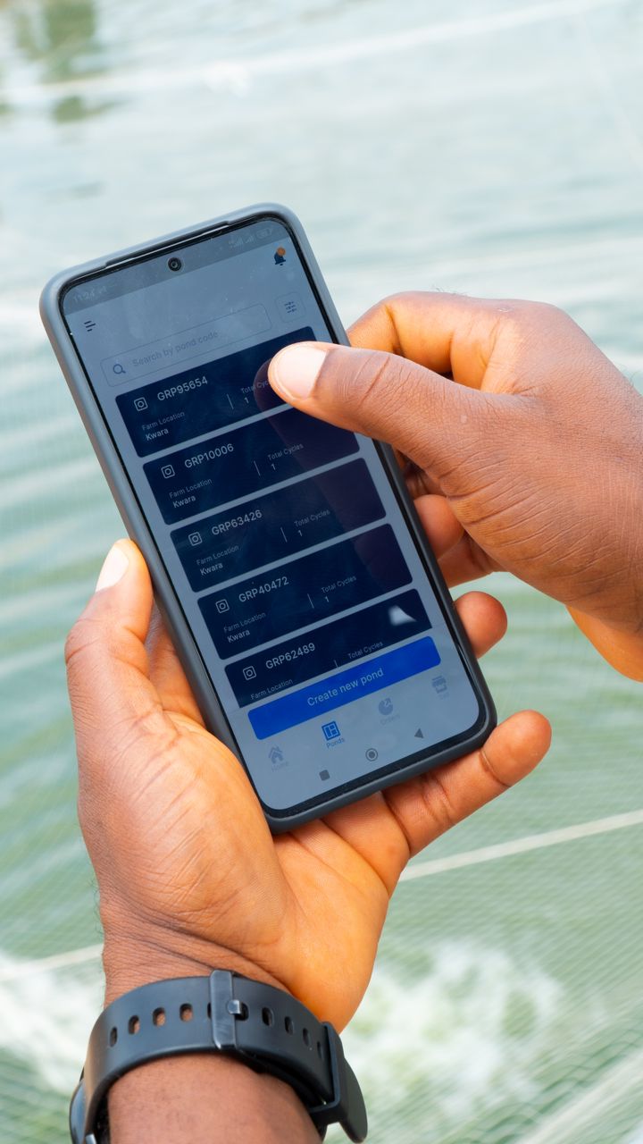 Swimlink App Interface